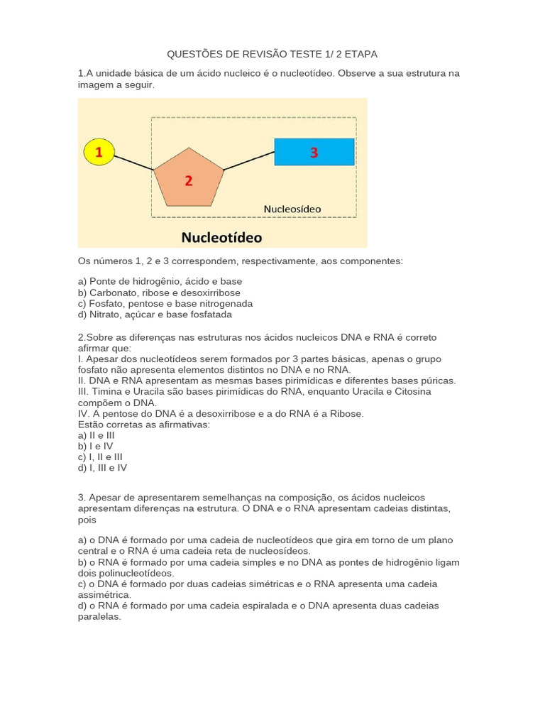Questões de Revisão sobre Ácidos Nucleicos | PDF | Mitose | Meiose