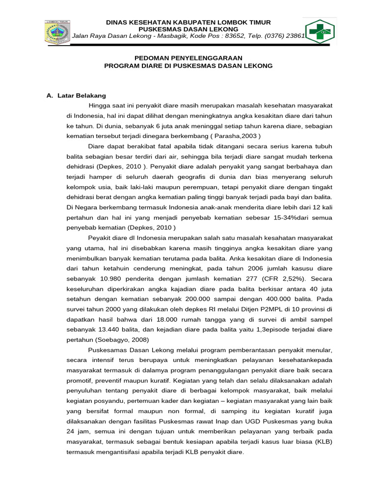 Pedoman Program Diare | PDF