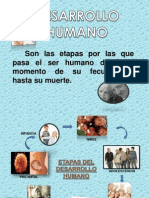 Desarrollo Humano-Etapa Prenatal
