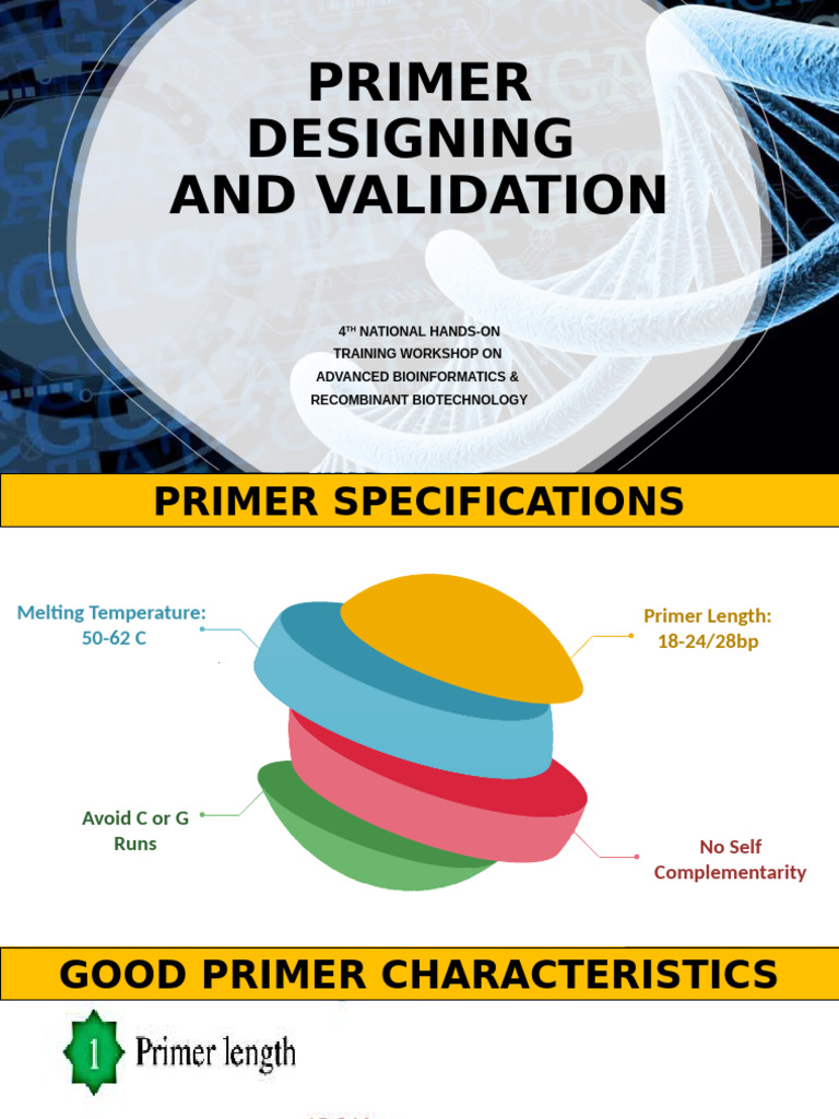 Primer Designing and Validiation | PDF | Primer (Molecular Biology ...