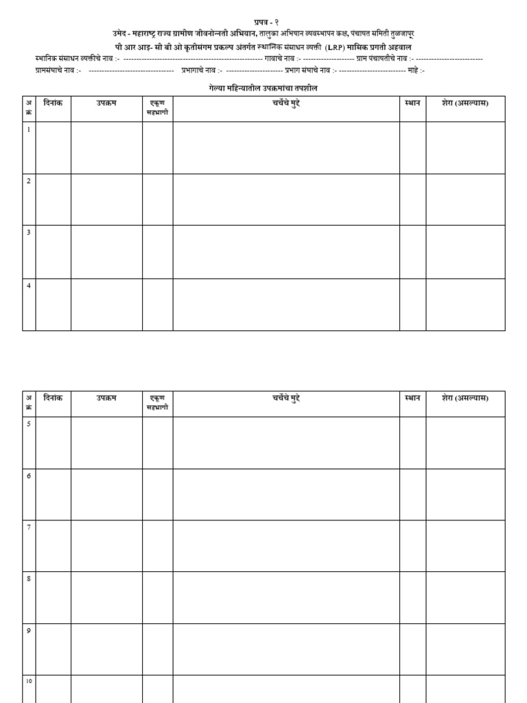 LRP Report Format | PDF