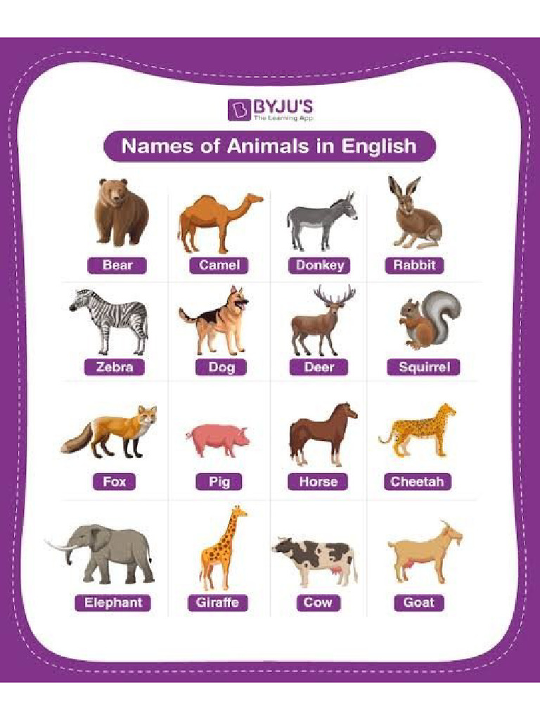 Animal Chart 4 | PDF