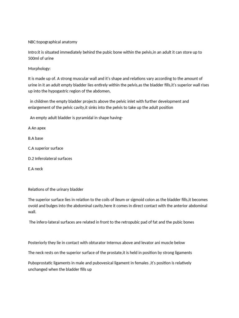 Gross Anat (Urinary Bladder) | PDF | Pelvis | Abdomen