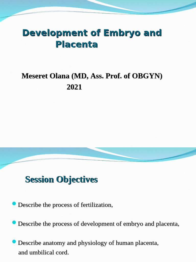 Embryo and Placenta Development Overview | PDF | Placenta | Anatomy