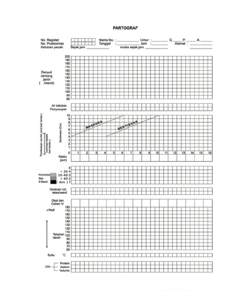 PARTOGRAF | PDF