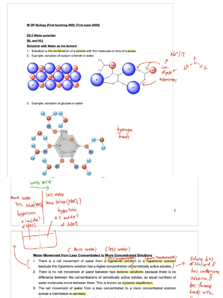 D2.3 Water Potential | PDF