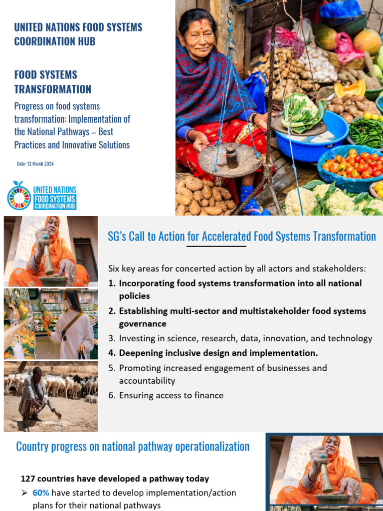 Food Systems Transformation Progress Report | PDF | Governance | Economies