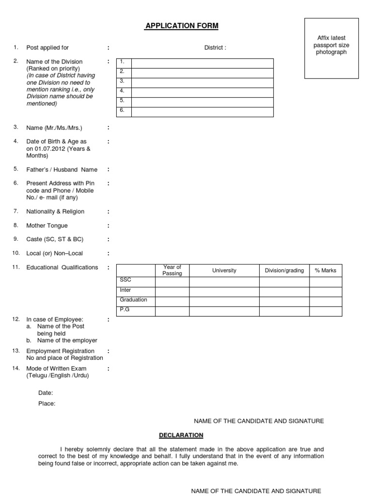 District Job Application Form Template | PDF