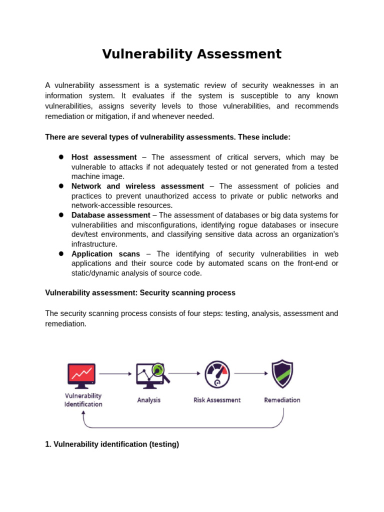 Systematic Vulnerability Assessment Guide | PDF | Computer Security ...