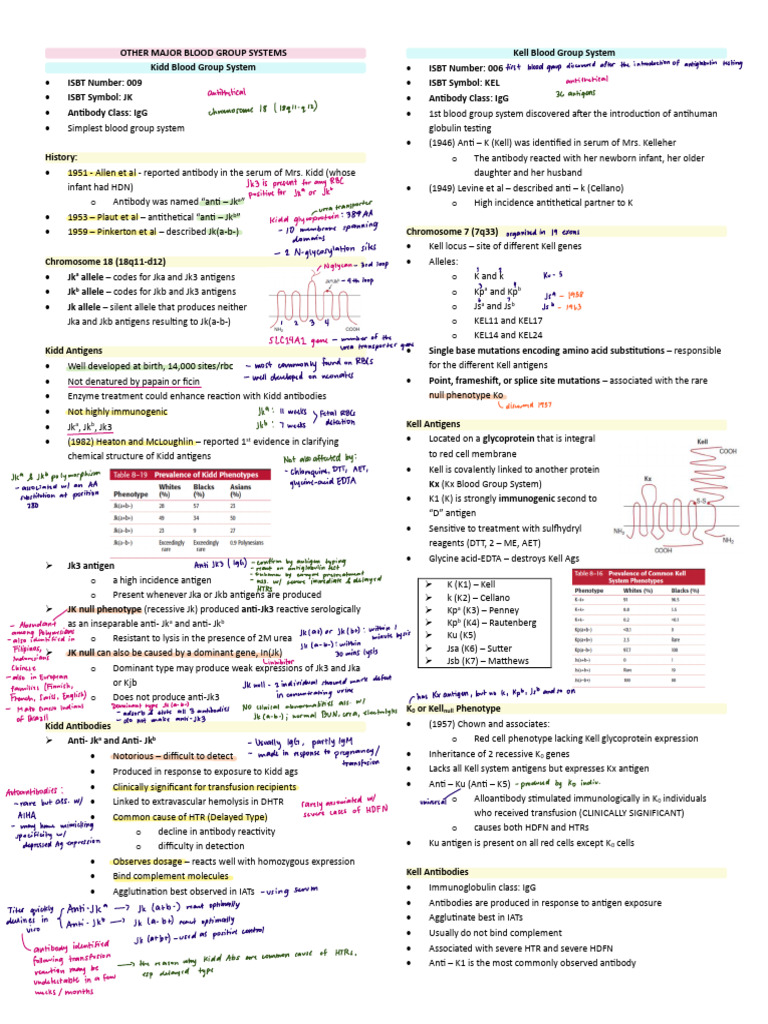 Overview of Major Blood Group Systems | PDF | Blood Type | Tissue (Biology)