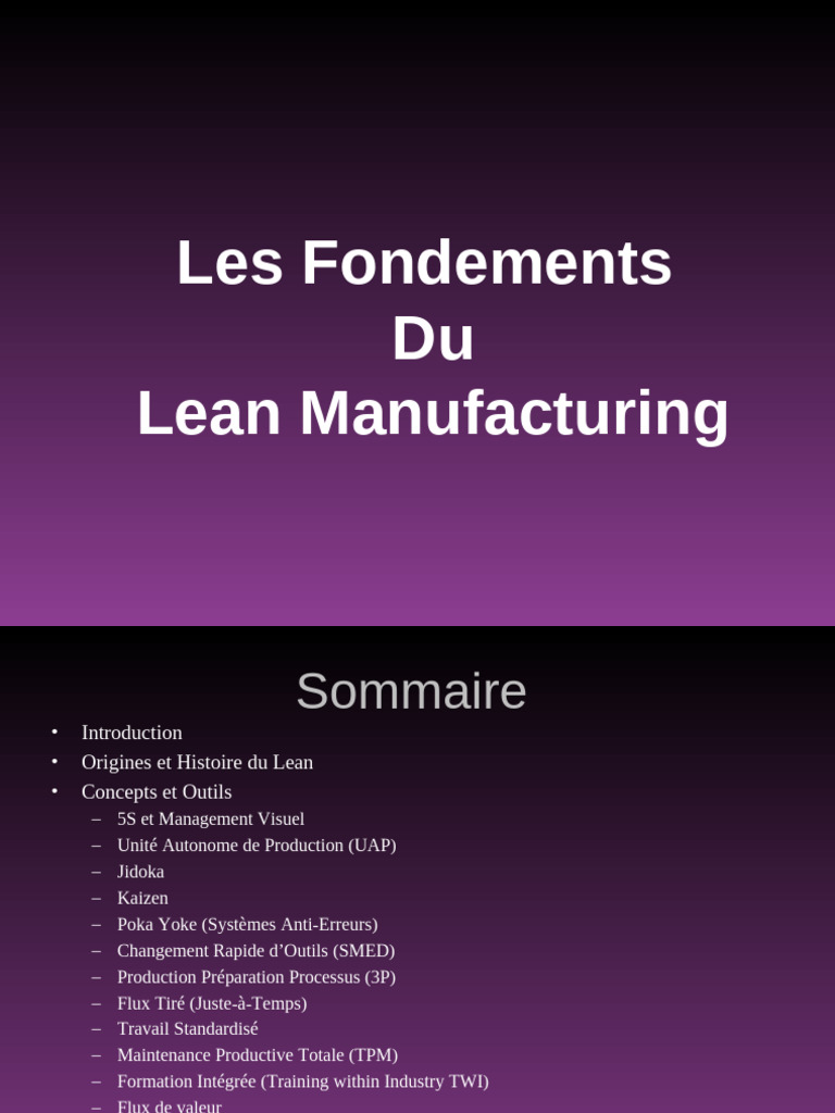 Management Visuel en Lean Manufacturing | PDF | Six Sigma | Lean ...