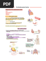 Anatomy and Function of the Heart | PDF | Heart Valve | Atrium (Heart)