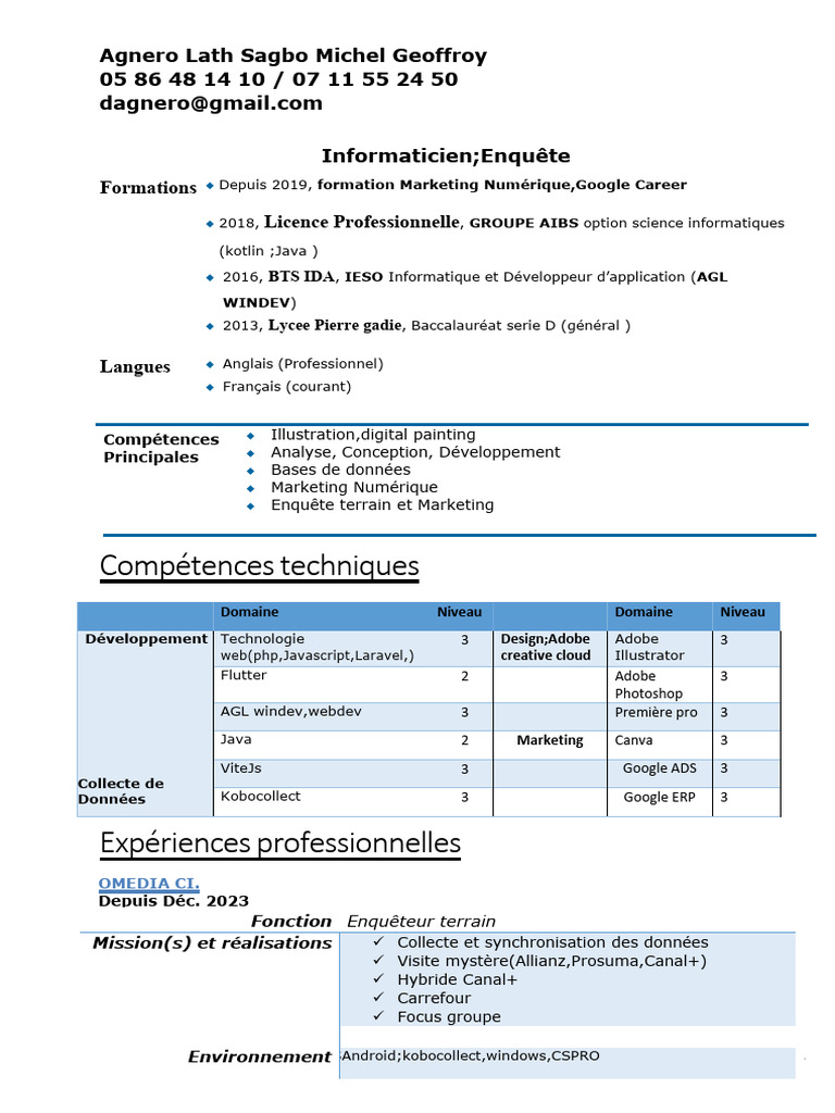 CV d'Informaticien et Consultant Marketing | PDF | Logiciel | Informatique