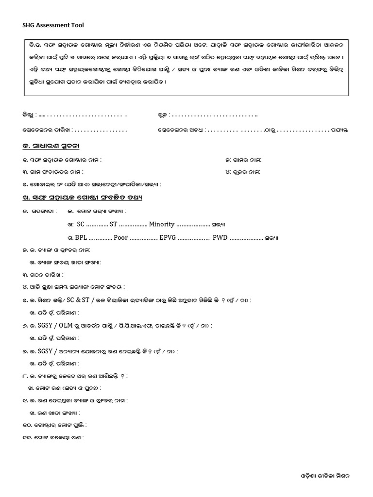 SHG Assessment | PDF