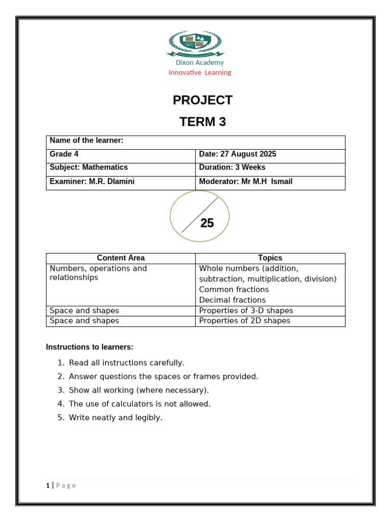 Grade 4 Maths Project Guidelines | PDF