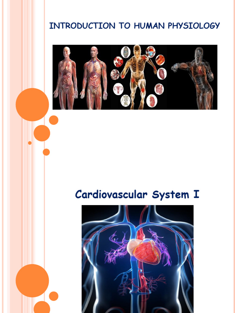Cardiovascular System I | PDF | Heart Valve | Heart