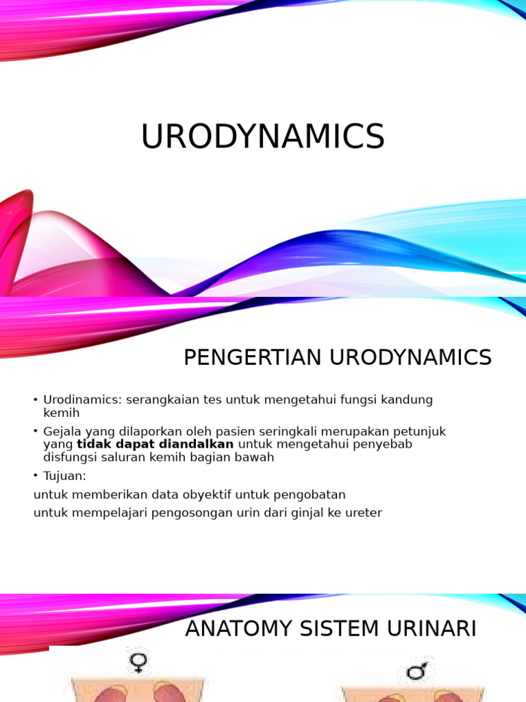 Uro Dynamics | PDF