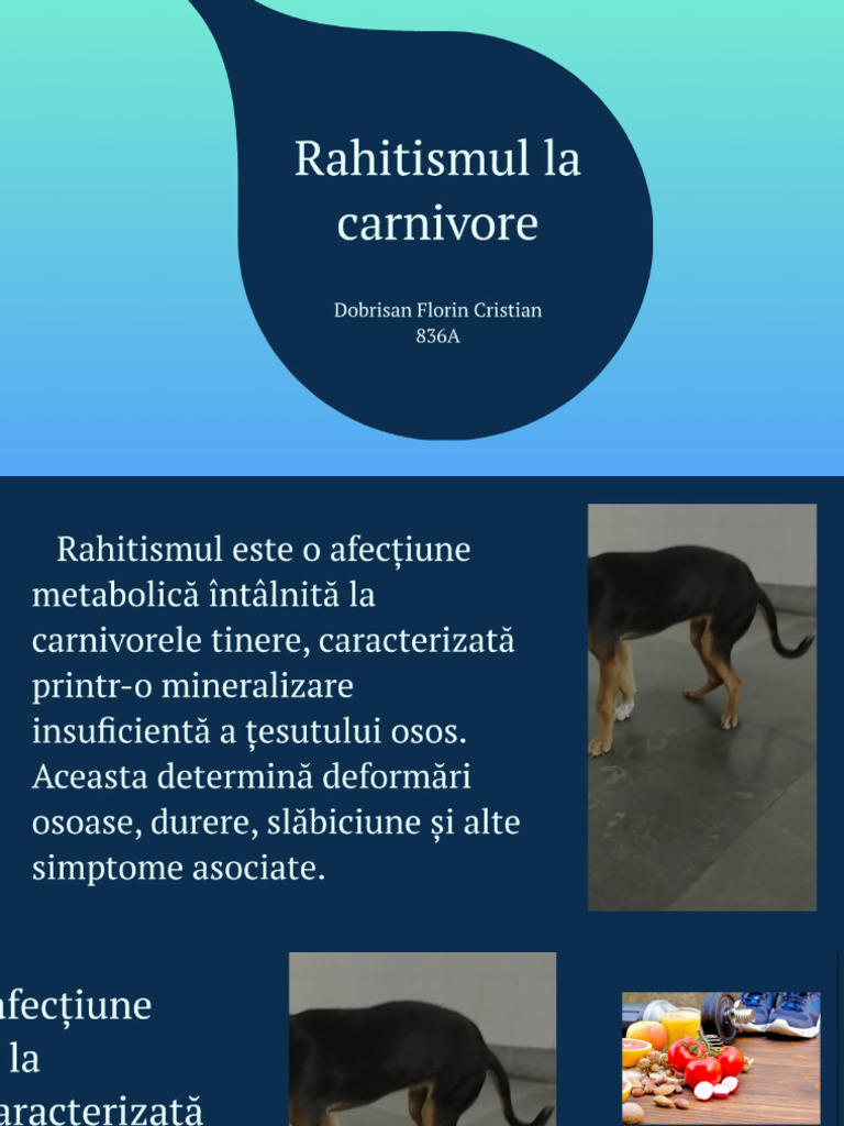 Rahitismul La Carnivore Dobrisan Florin Cristian 836A | PDF