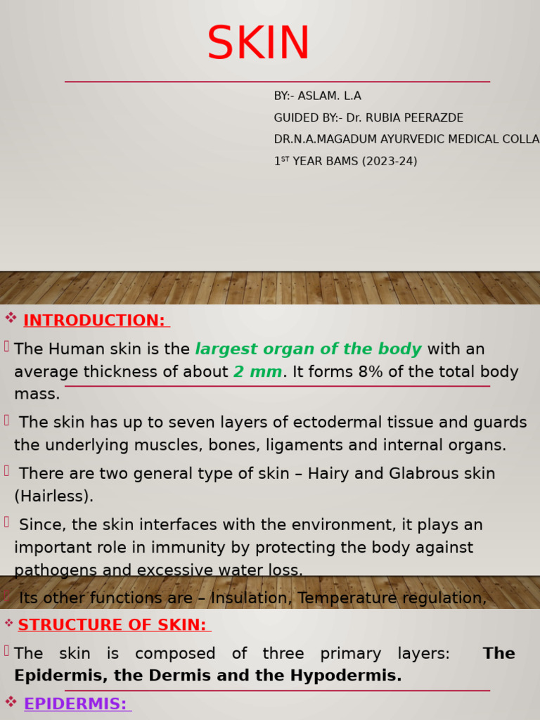 Anatomy and Functions of Human Skin | PDF | Epidermis | Skin