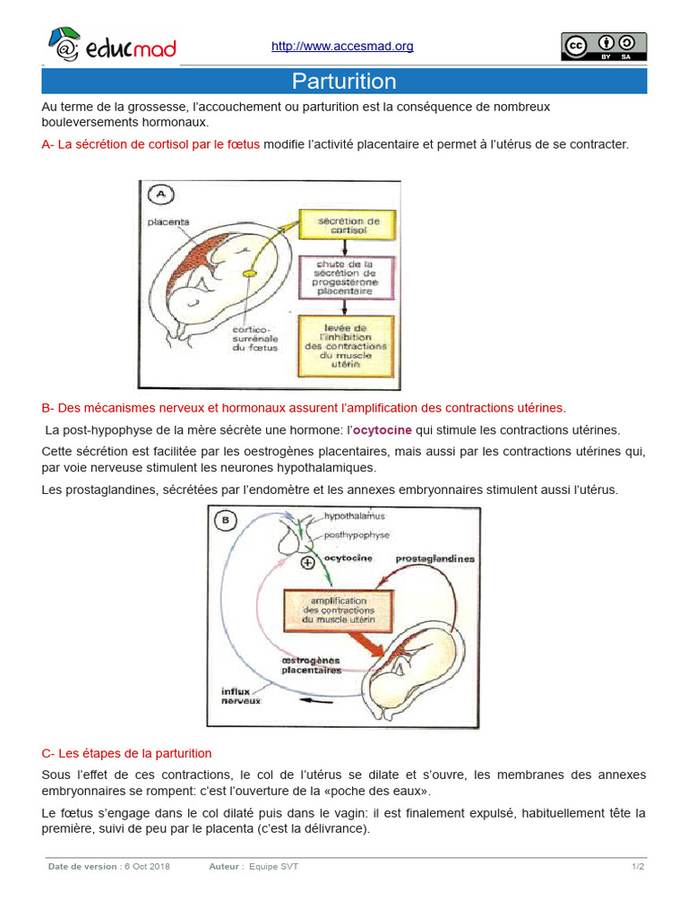Mécanismes de la Parturition | PDF