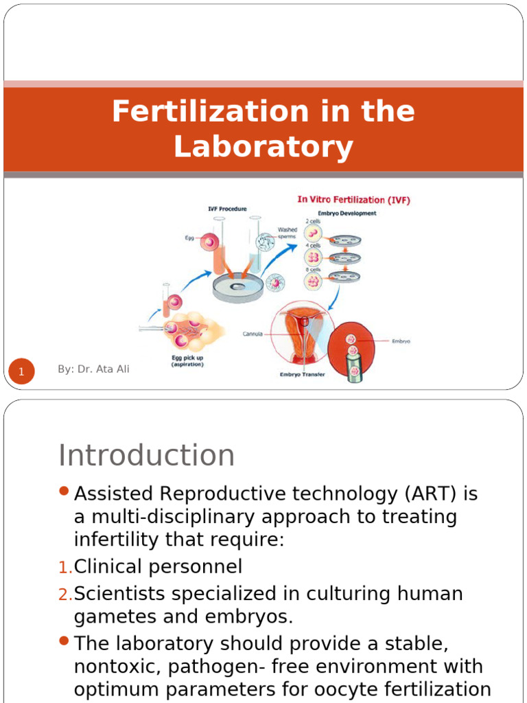 Laboratory Fertilization Techniques | PDF | Reproduction | Reproductive ...