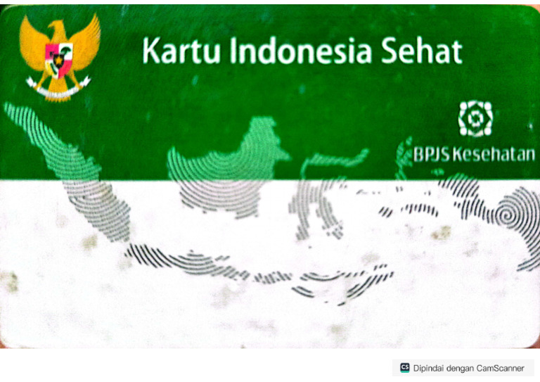 Bpjs Dpan | PDF