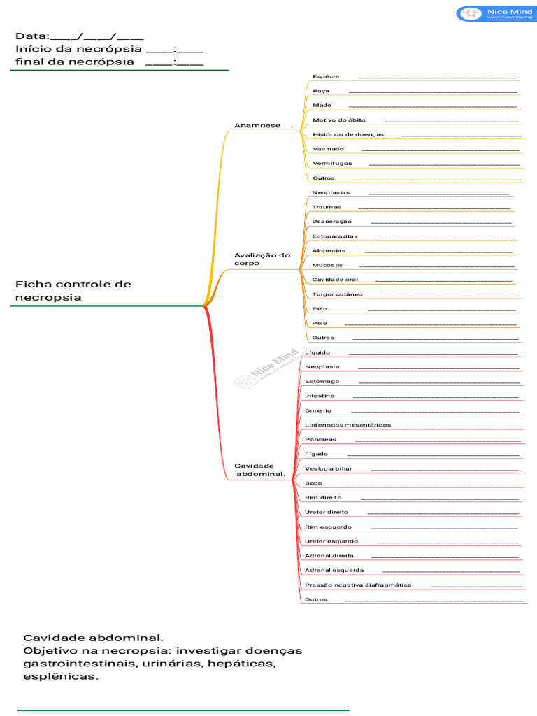 Ficha cont(1) | PDF | Anatomia humana | Especialidades médicas