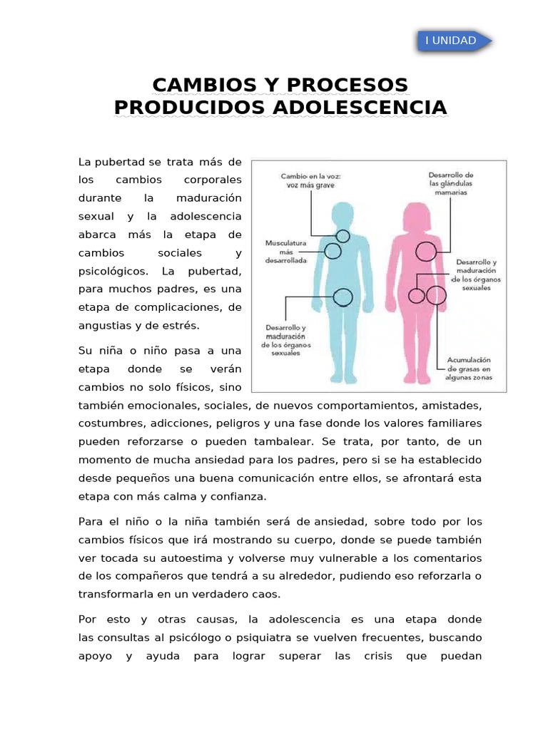 Cambios en la Adolescencia: Físicos y Emocionales | PDF | Adultos ...