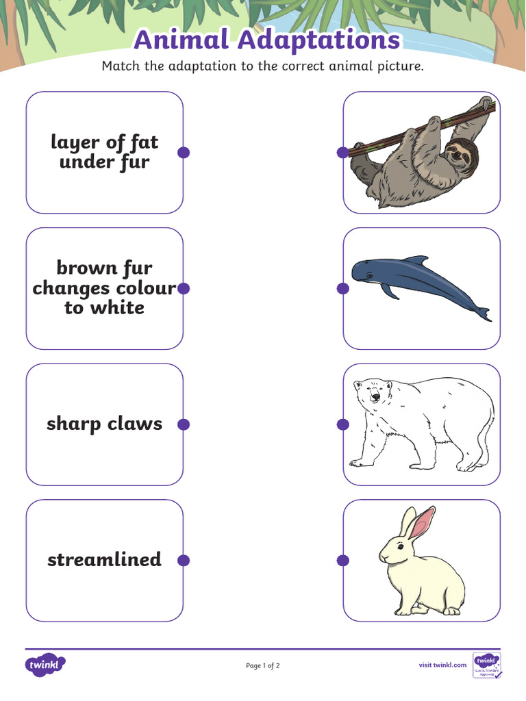 T SC 1718378705 Adapting To Survive Matching Worksheet Ver 1 | PDF