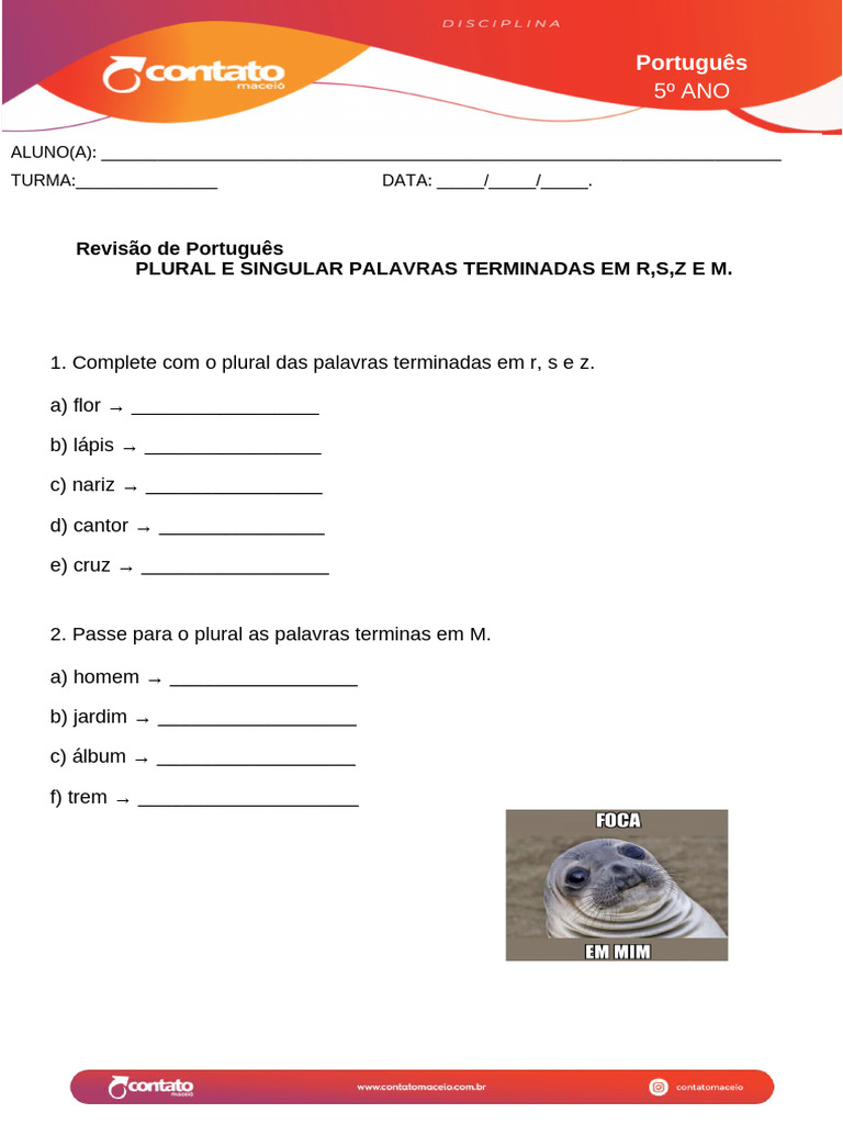 Plural de Palavras: Atividades 5º Ano | PDF