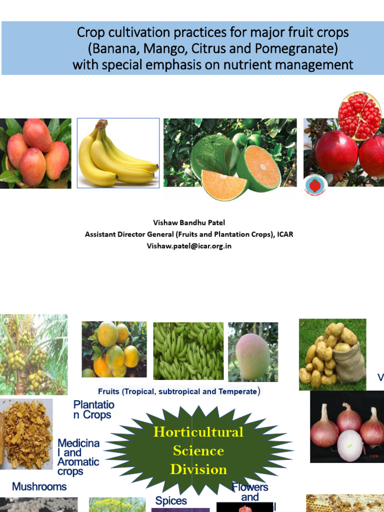 Fruit Crop Cultivation Practices | PDF | Plant Nutrition | Soil