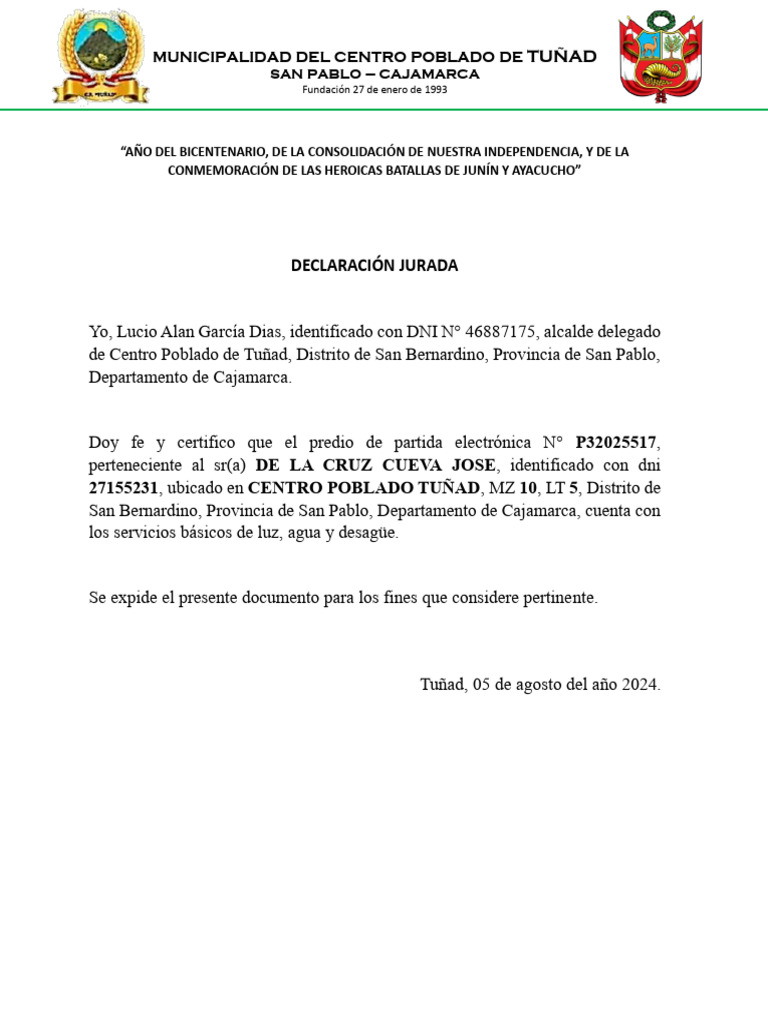 Declaraciones Juradas de Servicios en Tuñad | PDF | Control de acceso ...