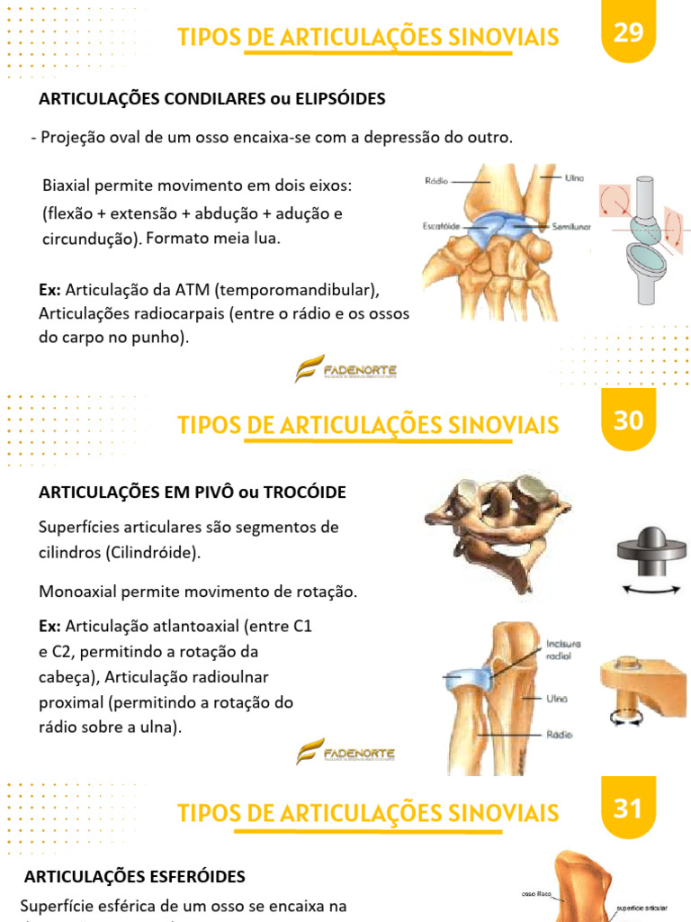 Tipos de Articulações Sinoviais e Movimentos | PDF | Mão | Artrite