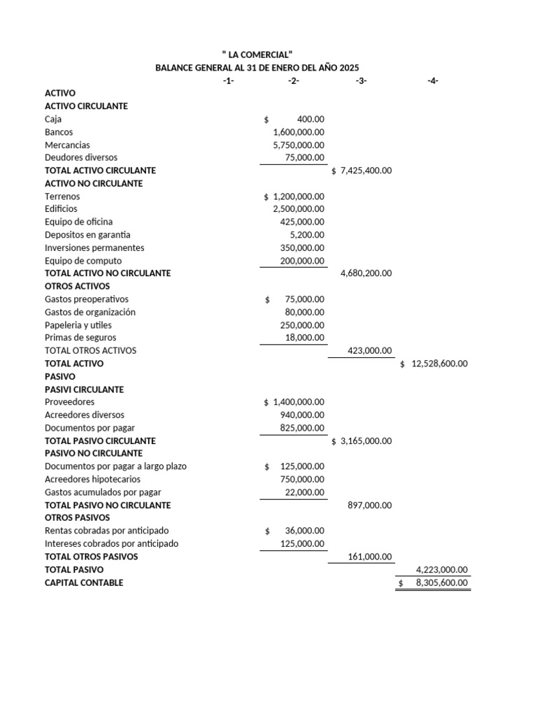Balance General de La Comercial 2025 | PDF | Contabilidad | Hoja de balance