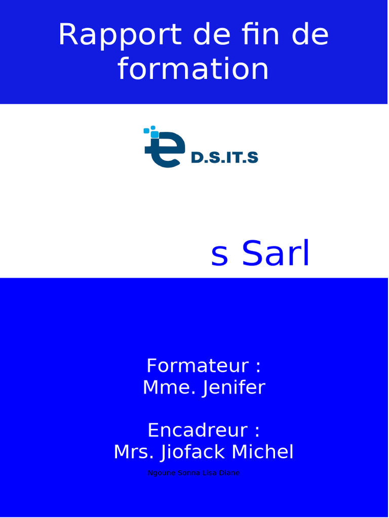 Rapport de formation de Lisa Diane | PDF | Microsoft Excel | Informatique