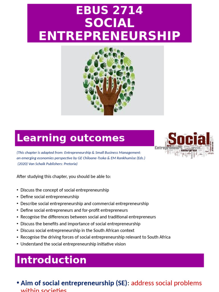 Understanding Social Entrepreneurship in SA | PDF | Grameen Bank ...