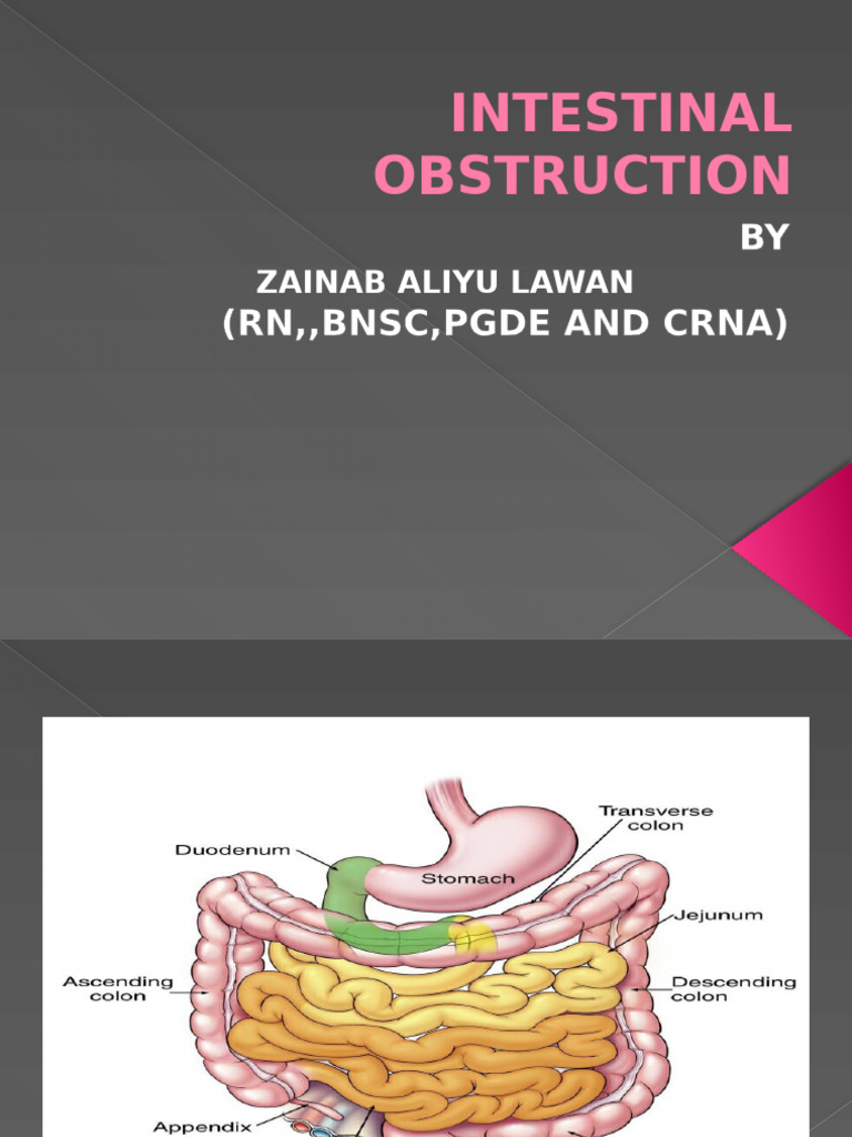 Bowel Obstruction: Symptoms & Diagnosis | PDF | Large Intestine ...