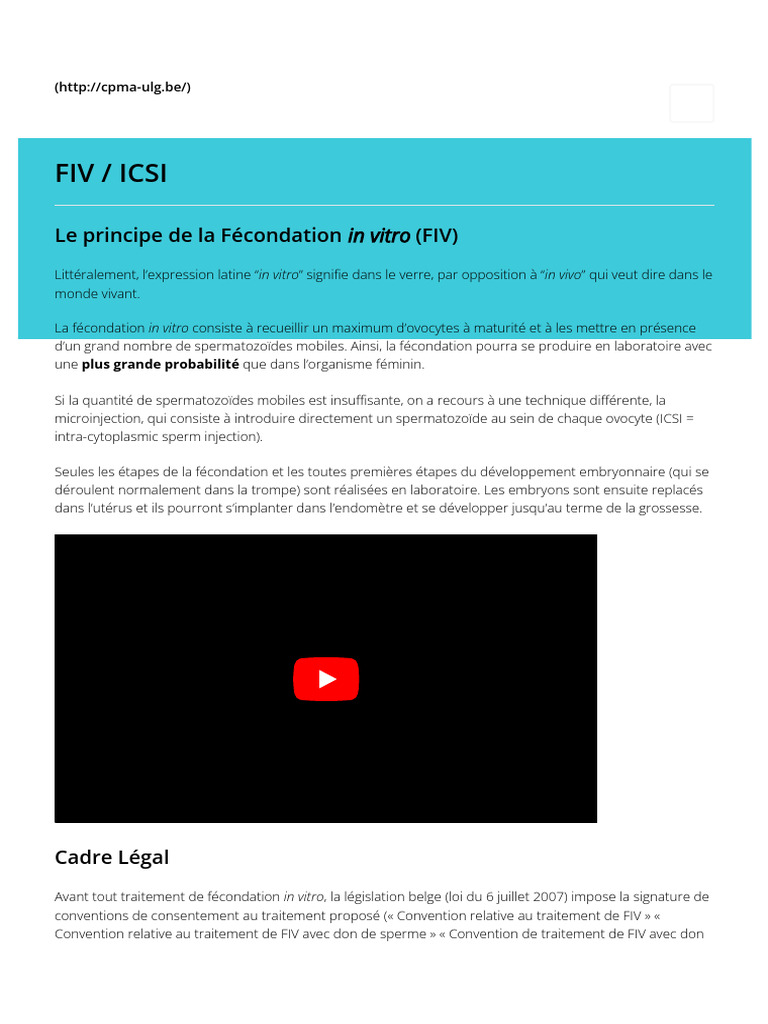 Guide sur la FIV et ICSI en Belgique | PDF