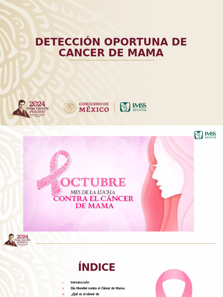 Detección y Prevención del Cáncer de Mama | PDF | Cáncer de mama | Pecho