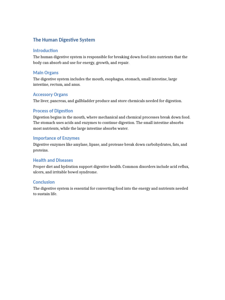 Overview of the Human Digestive System | PDF
