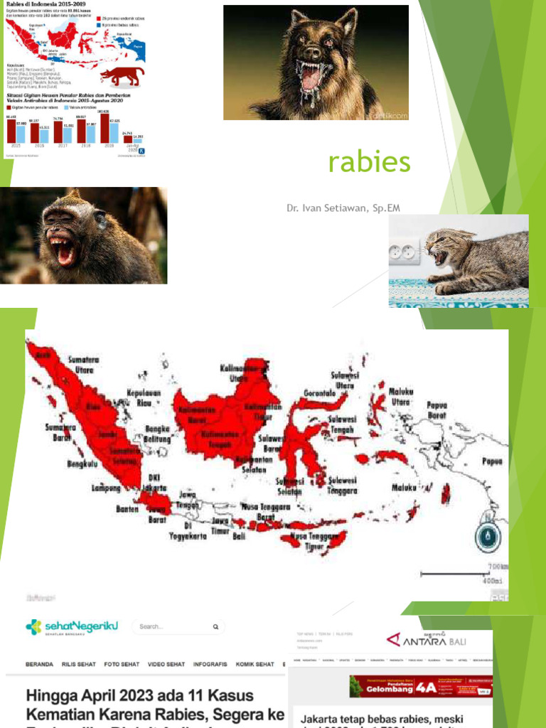 Panduan Penanganan Rabies dan Vaksinasi | PDF