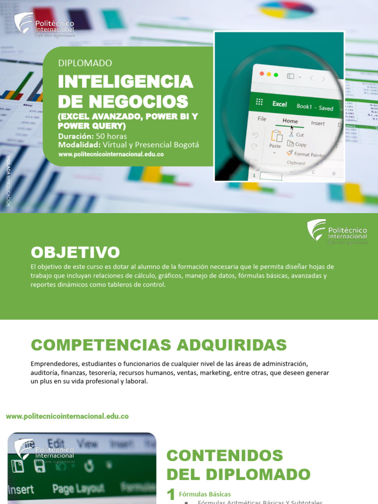 Diplomado en Inteligencia de Negocios | PDF | Microsoft Excel | Informática