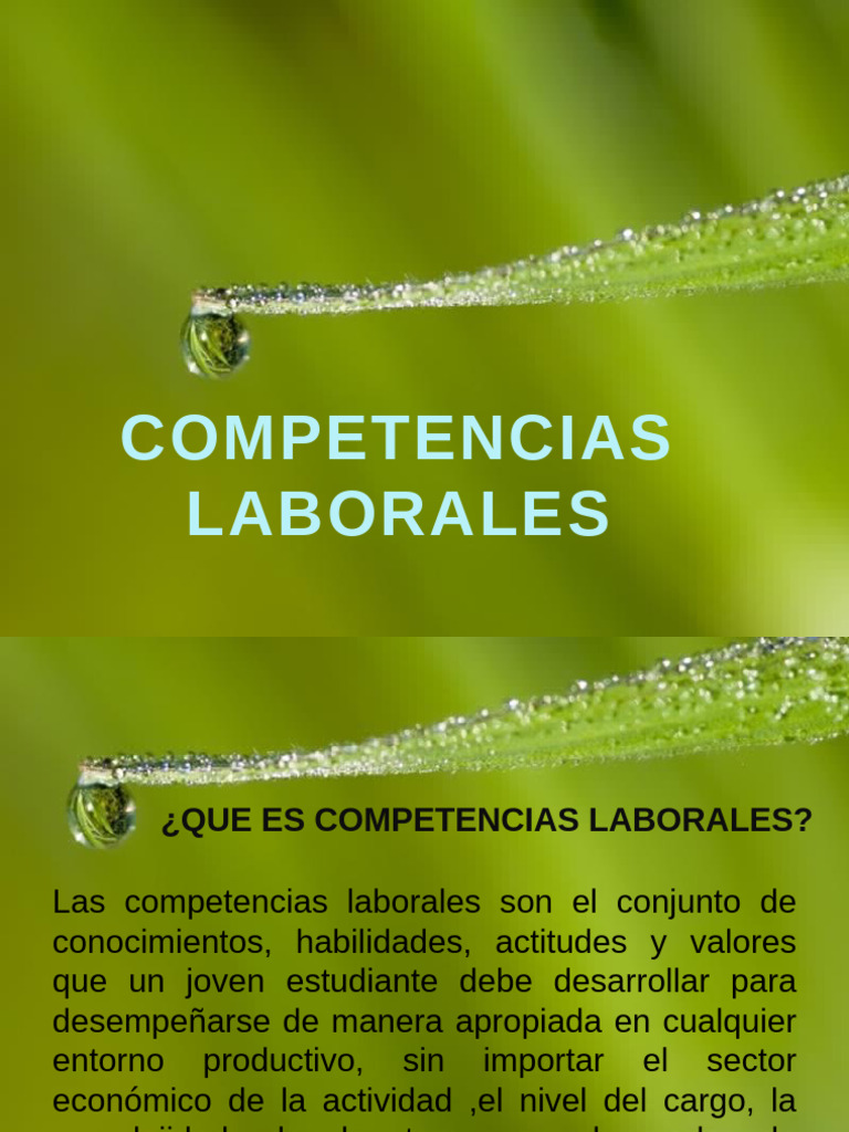 Competencias Laborales | PDF | Business | Economias