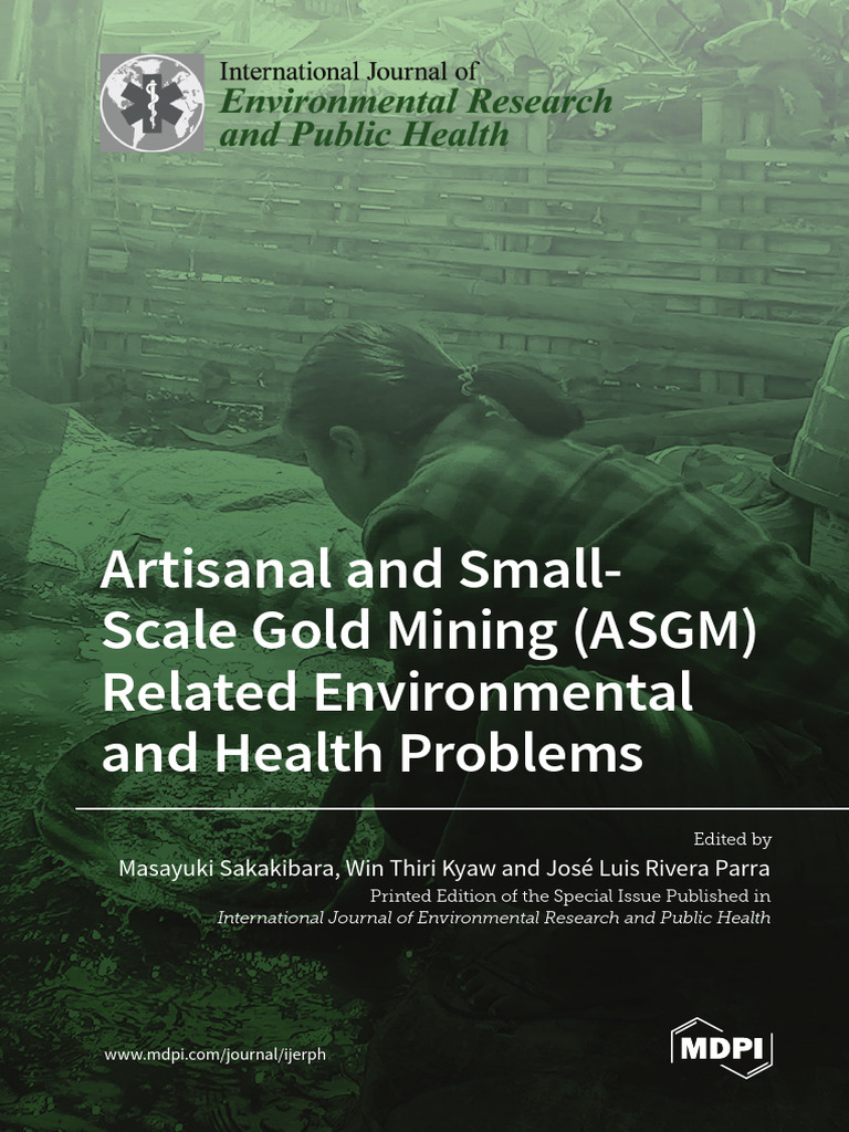 Artisanal and SmallScale Gold Mining ASGM Related Environmental and ...