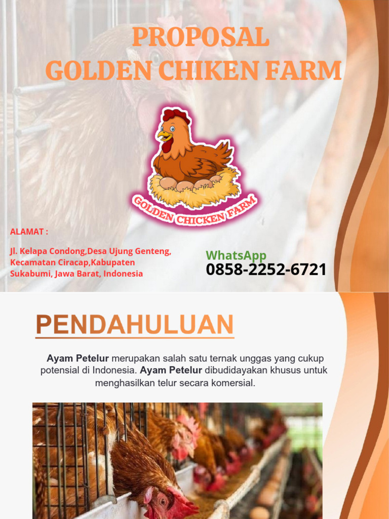 Proposal Usaha Ayam Petelur Golden Chicken | PDF