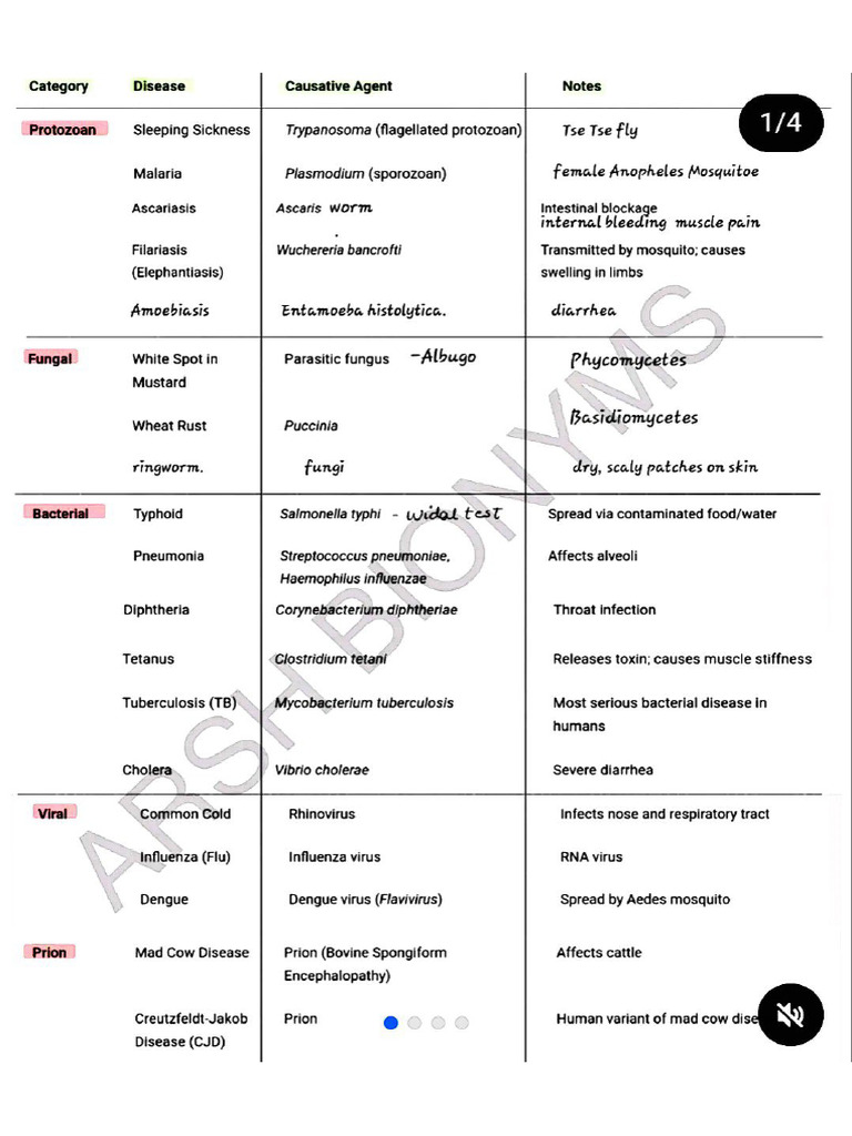 Disorders | PDF
