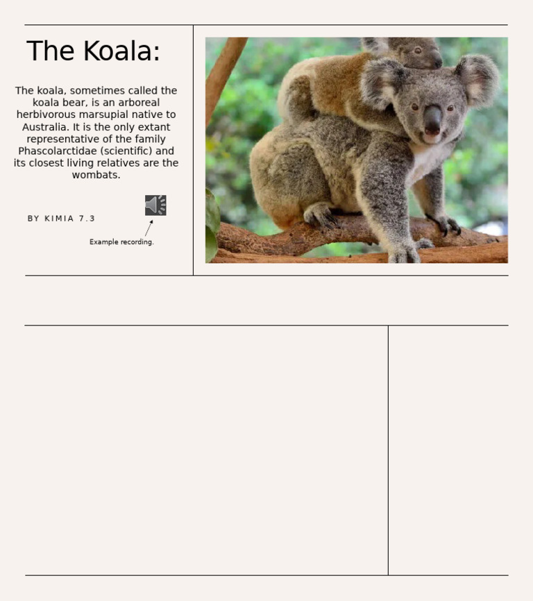 The Koala | PDF