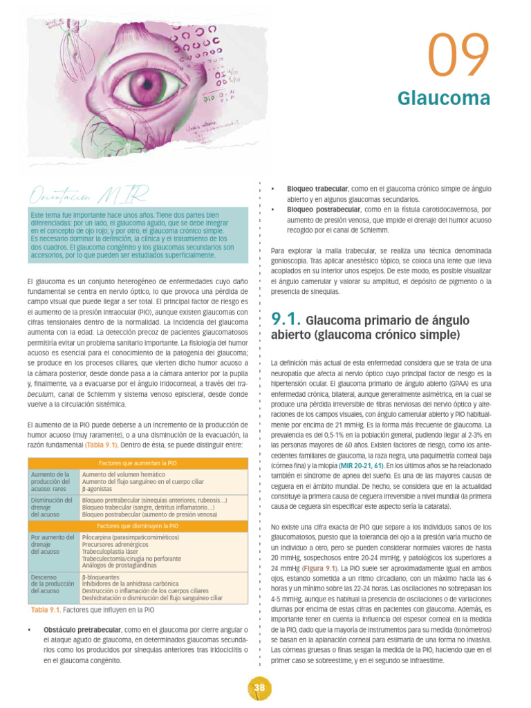 Glaucoma: Tipos, Diagnóstico y Tratamiento | PDF | Glaucoma | Oftalmología