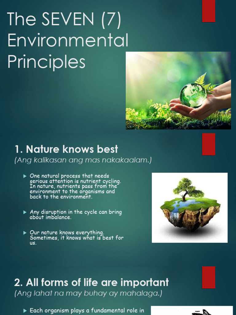 Seven Principles of Environmental Stewardship | PDF | Ecosystem | Nature