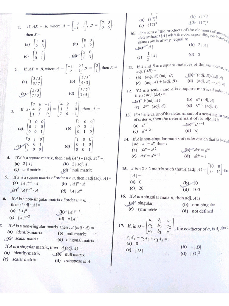 New Document | PDF